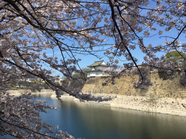 大坂城六番櫓と桜